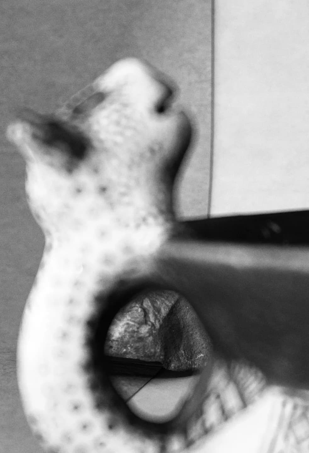 Ambient Occlusion
