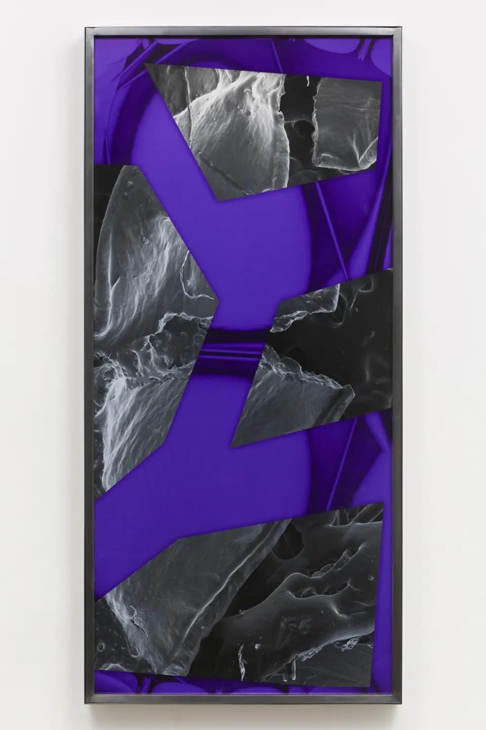 The Telomeric Cut - Tail Turns Into Mouth, 2017