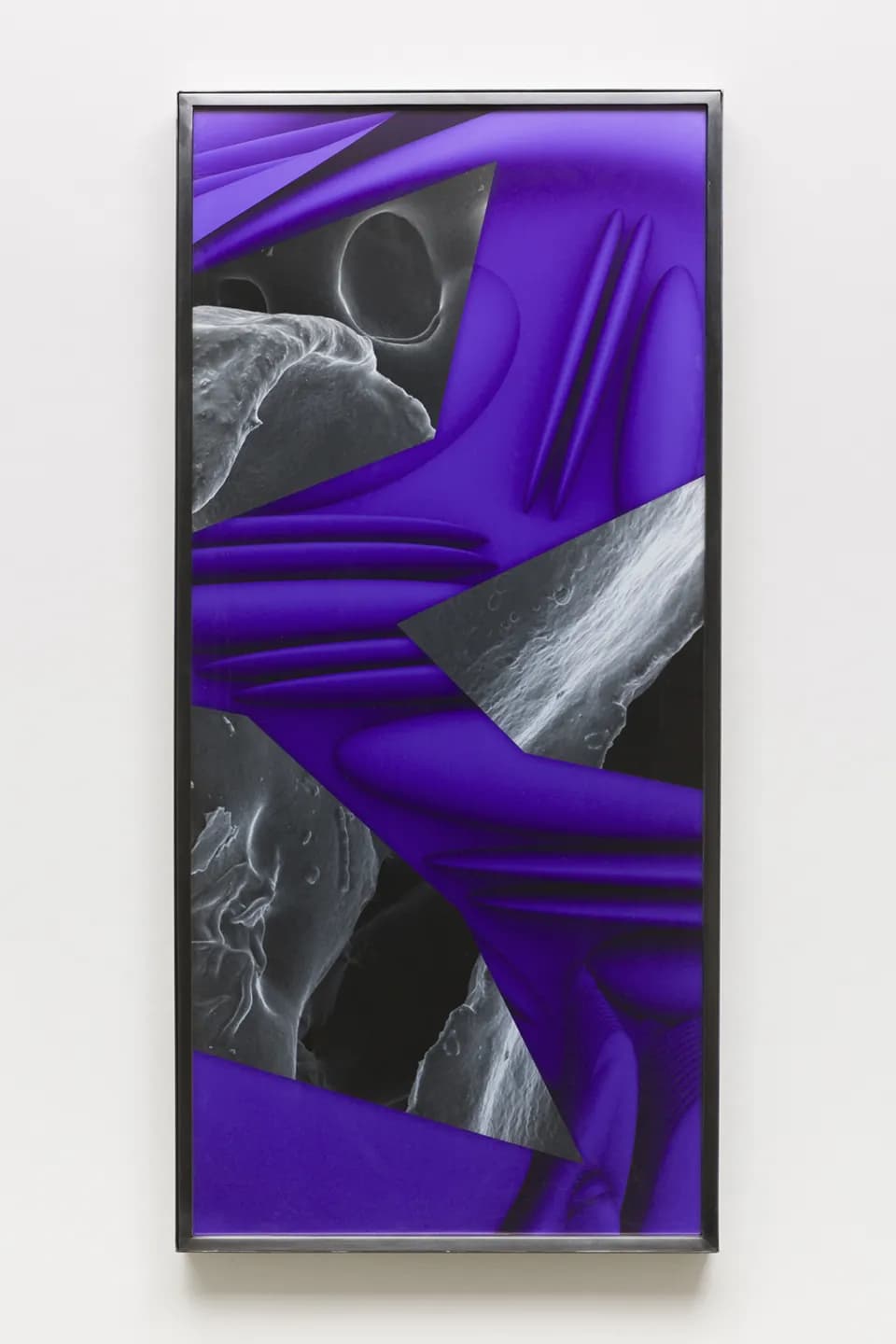 The Telomeric Cut - Cyclopic, 2017