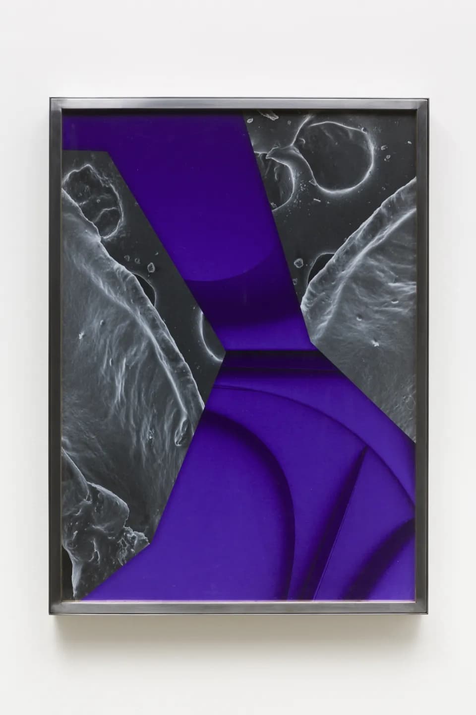 The Telomeric Cut - Tail on Tail, 2017